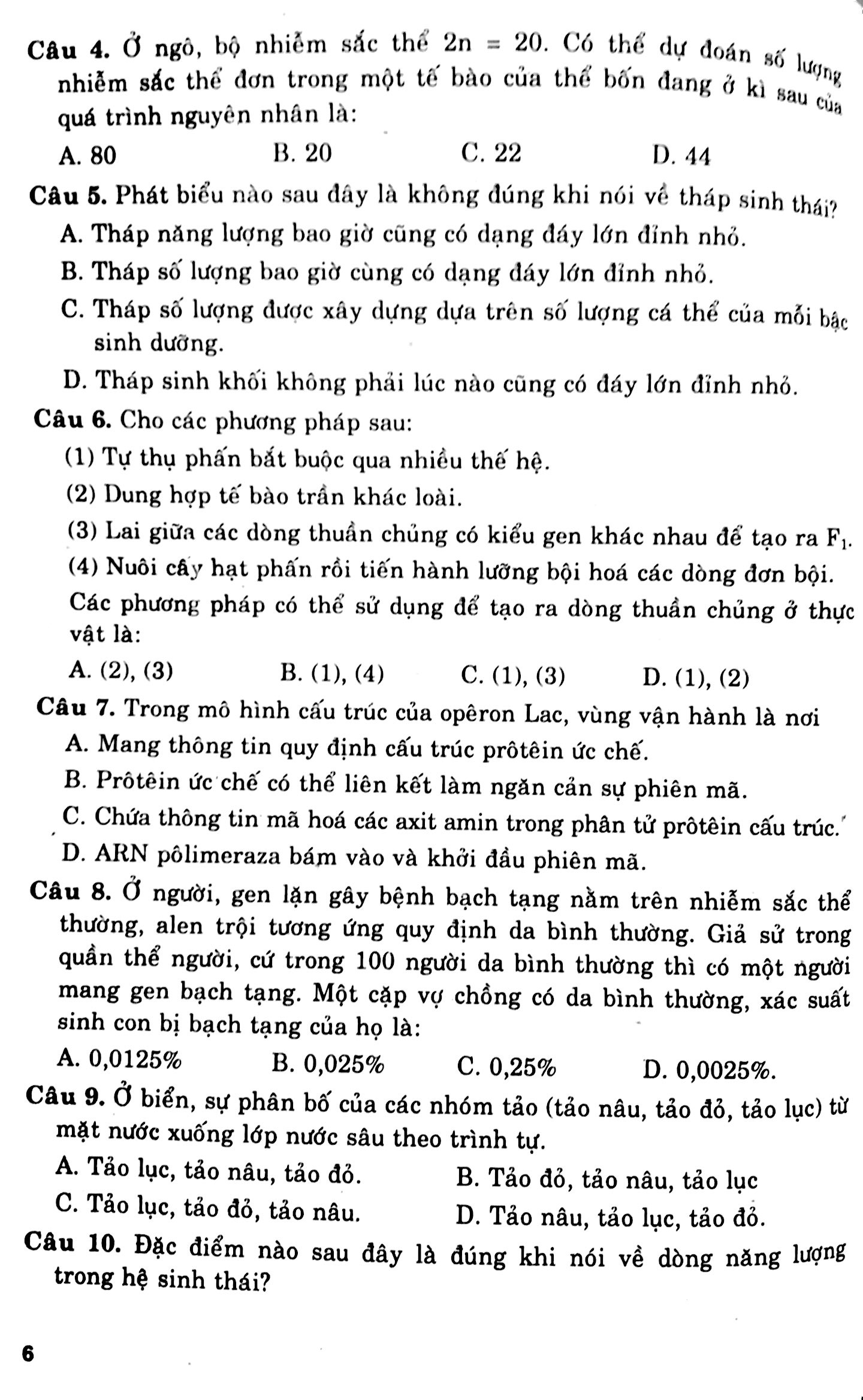 cấu trúc các dạng đttn sinh học 12