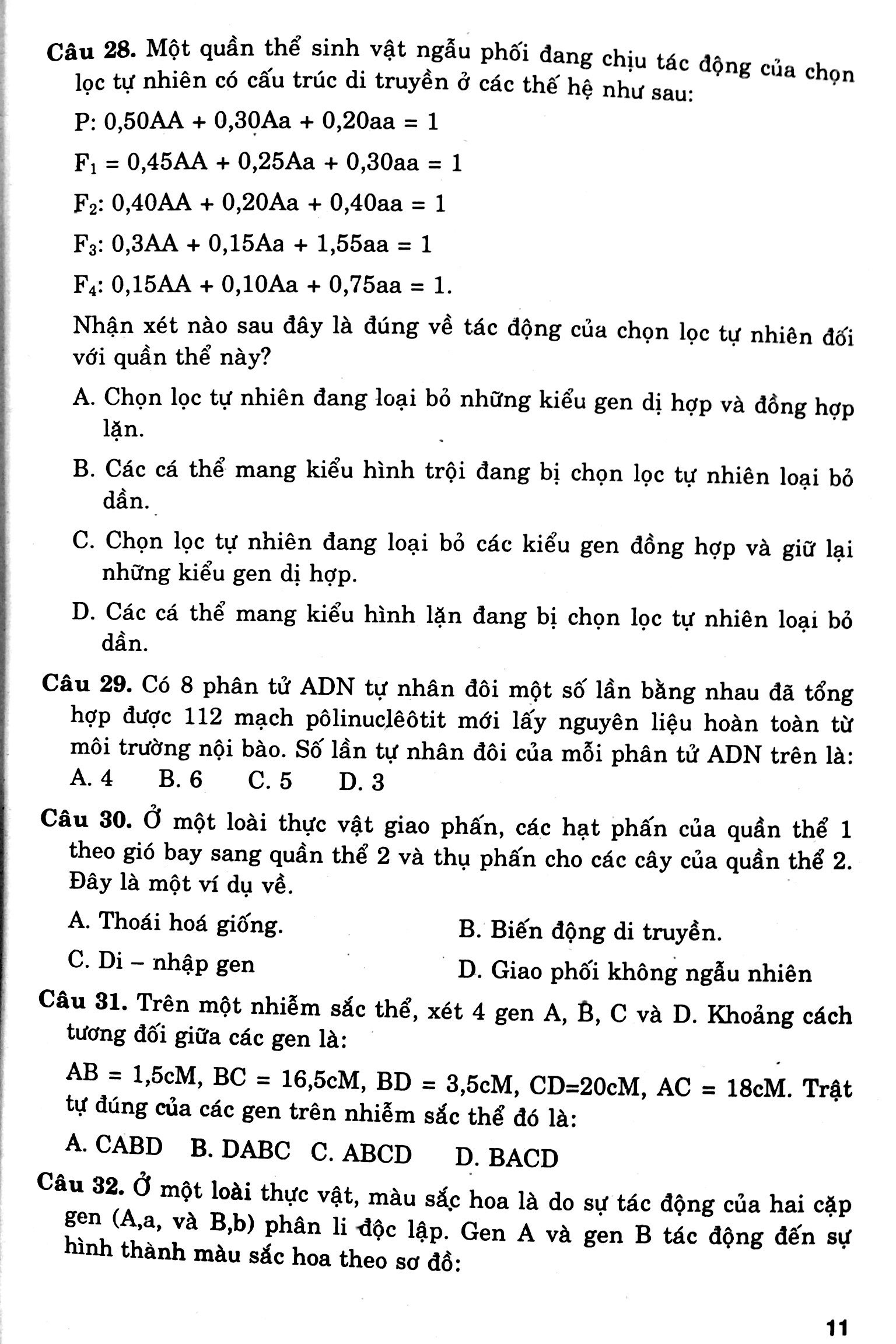 cấu trúc các dạng đttn sinh học 12