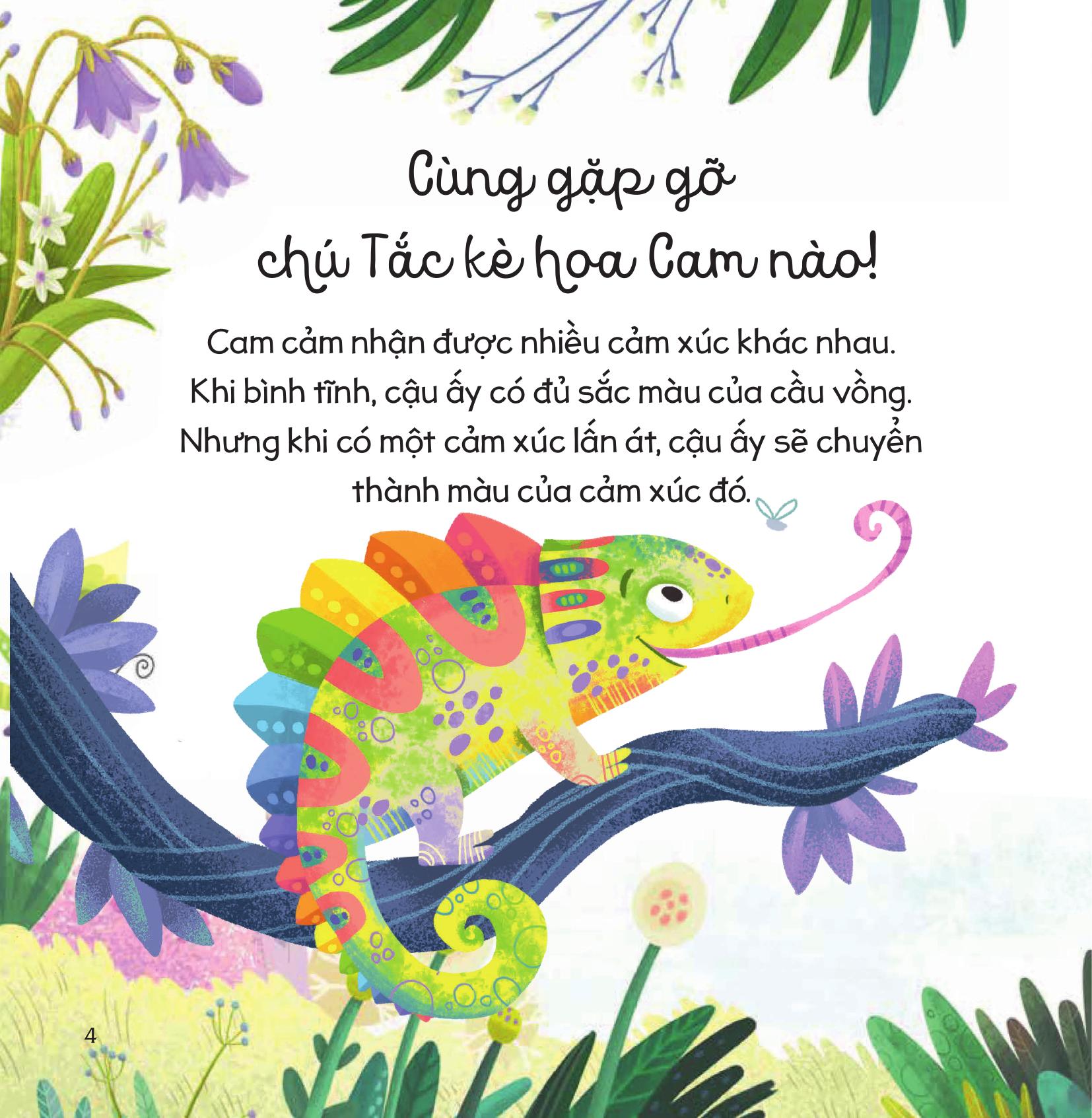 cầu vồng cảm xúc - giúp bé dễ dàng thấu hiểu các cảm xúc thông qua màu sắc - học cách kết bạn