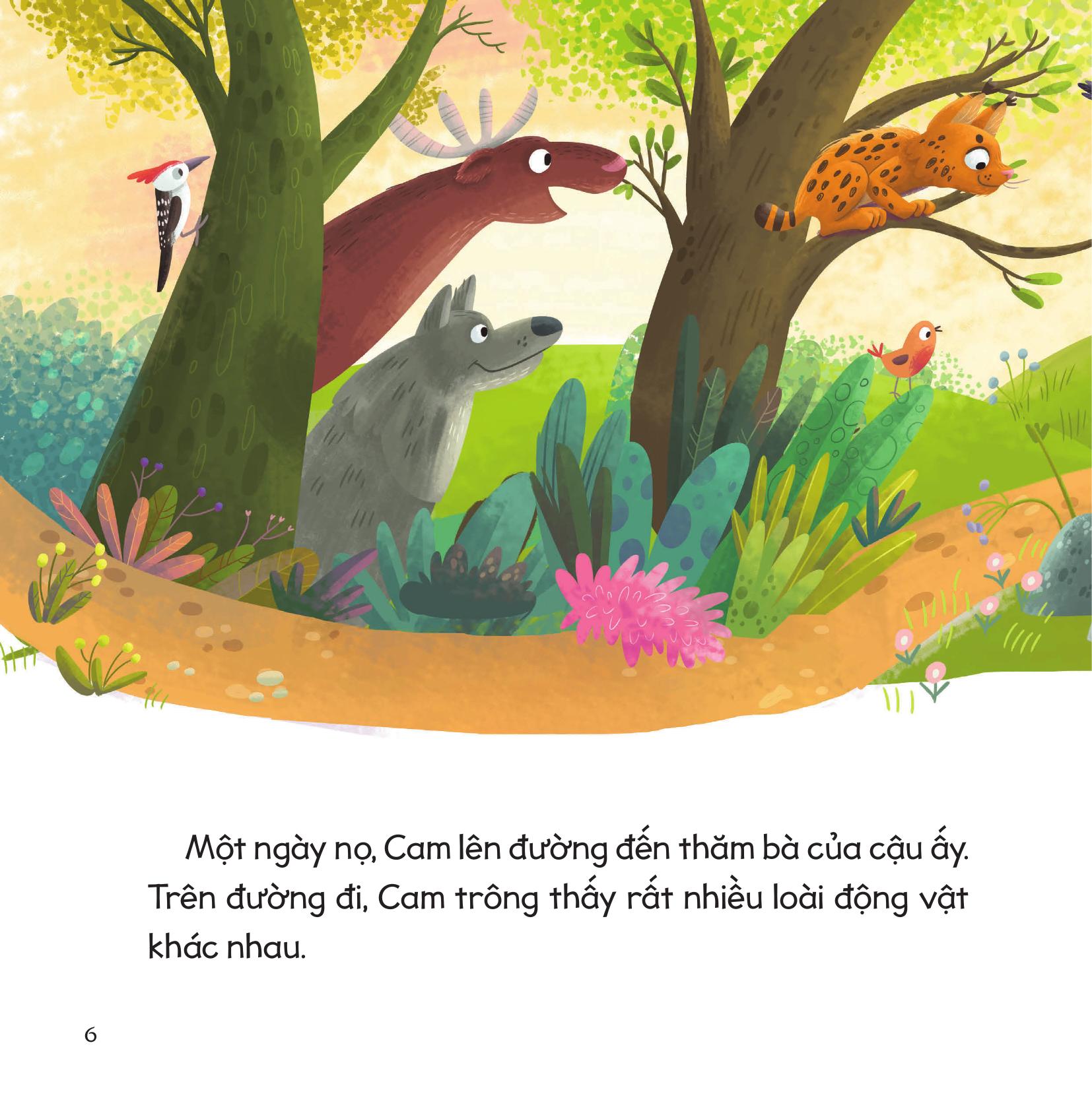 cầu vồng cảm xúc - giúp bé dễ dàng thấu hiểu các cảm xúc thông qua màu sắc - nhận biết các trạng thái cảm xúc