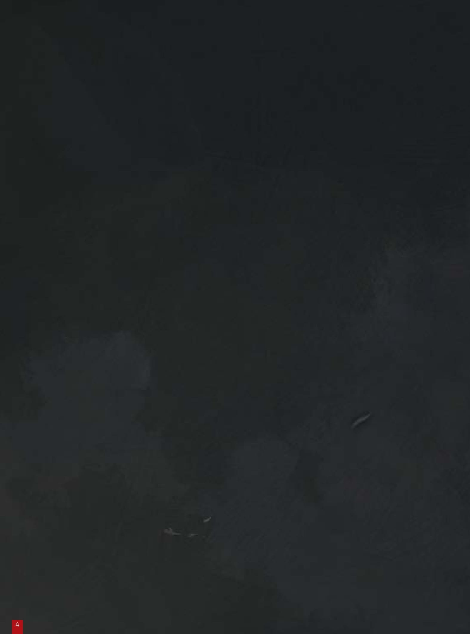 cây bách xù - truyện cổ grimm kinh dị được kể bằng tranh