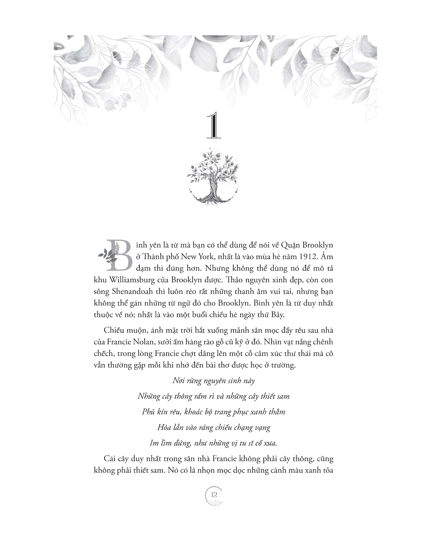 cây brooklyn xanh biếc