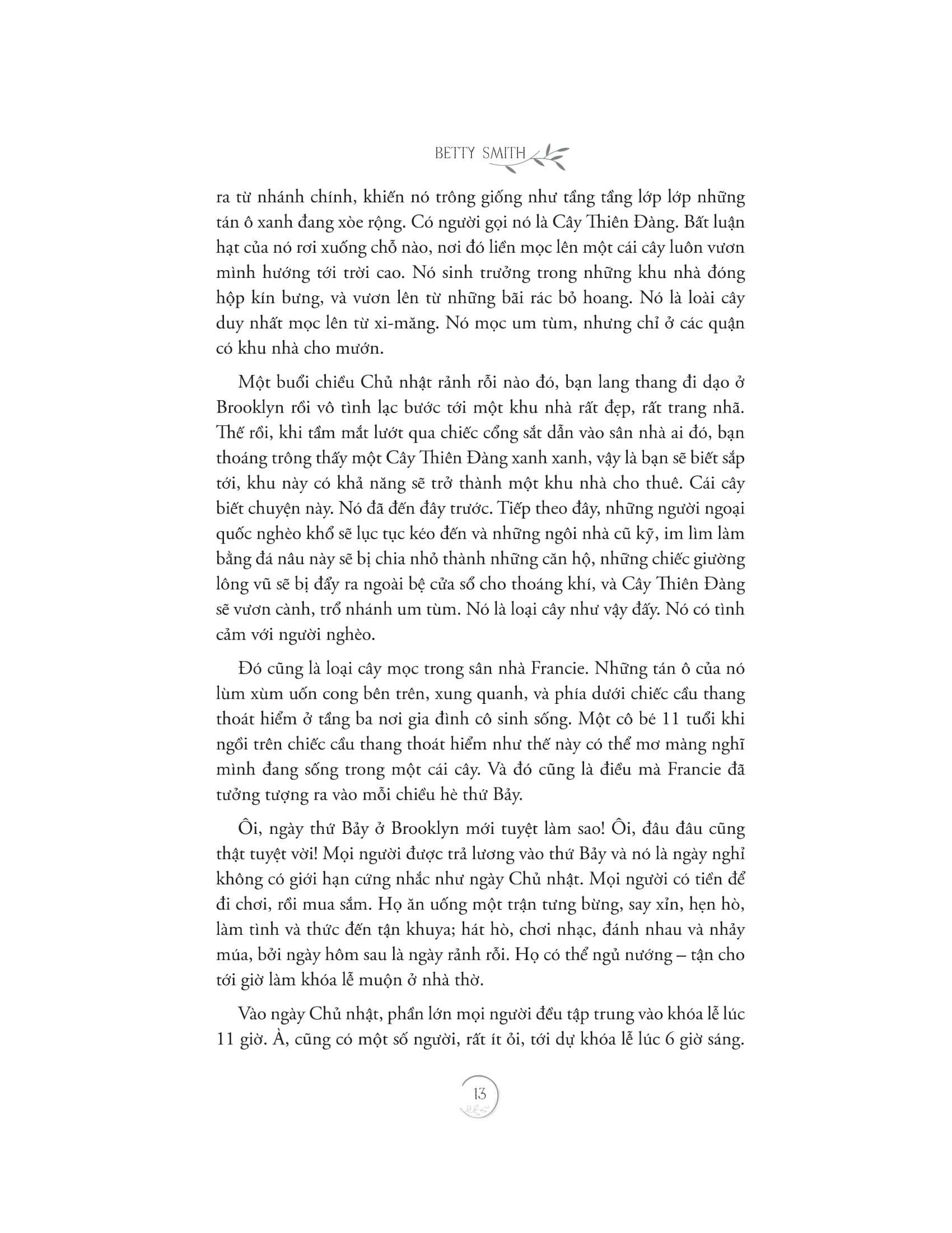 cây brooklyn xanh biếc