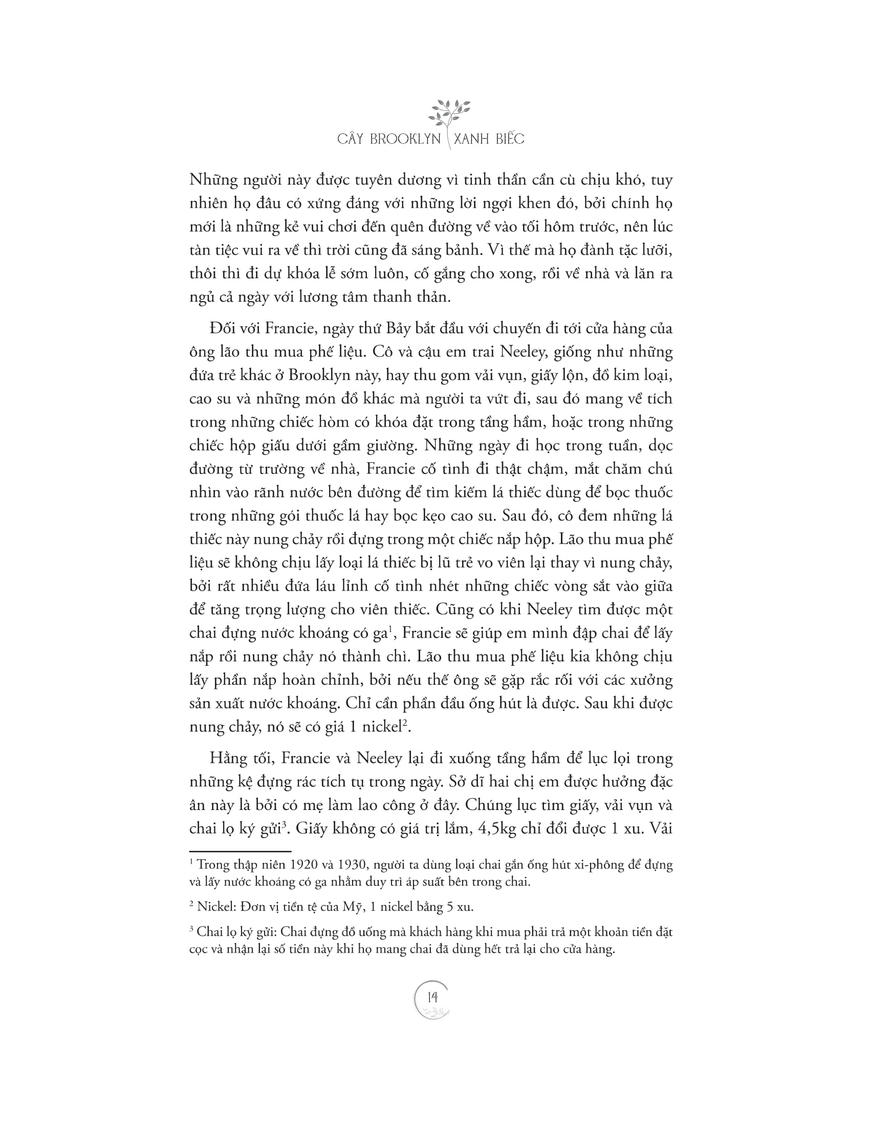 cây brooklyn xanh biếc