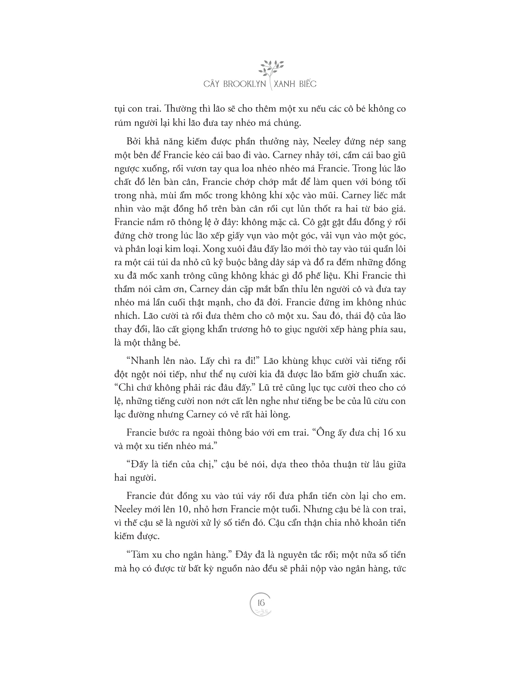 cây brooklyn xanh biếc