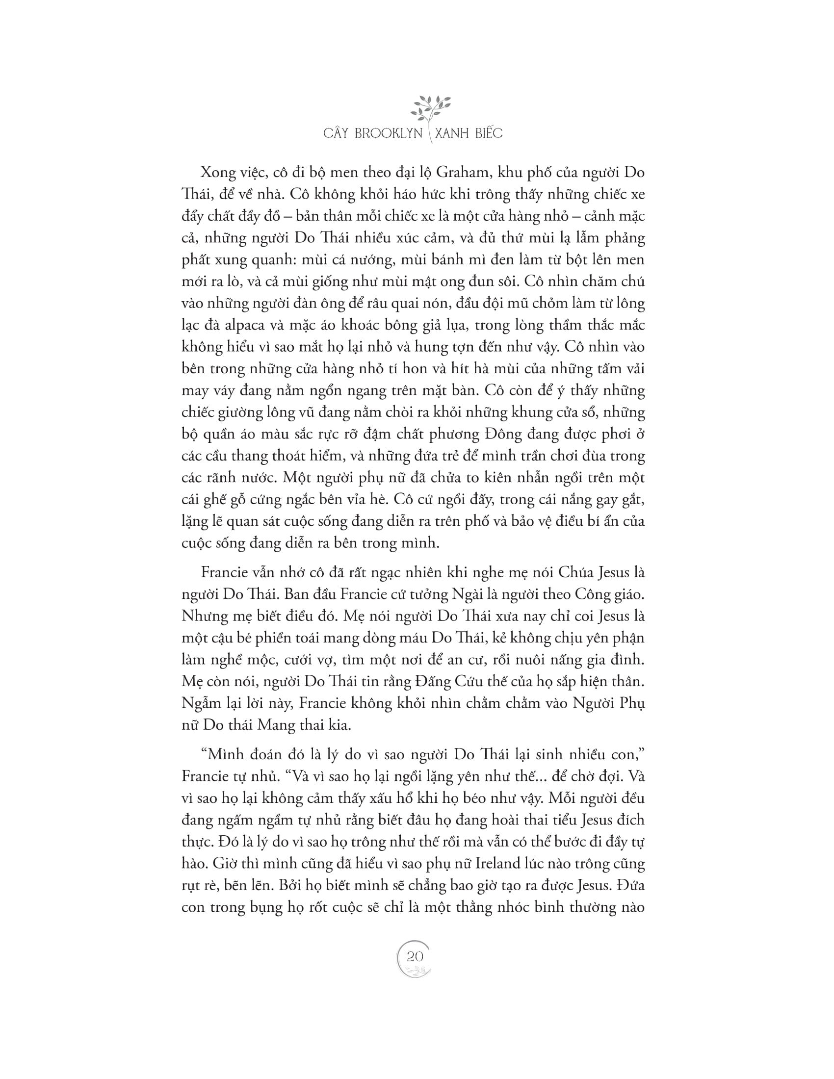 cây brooklyn xanh biếc