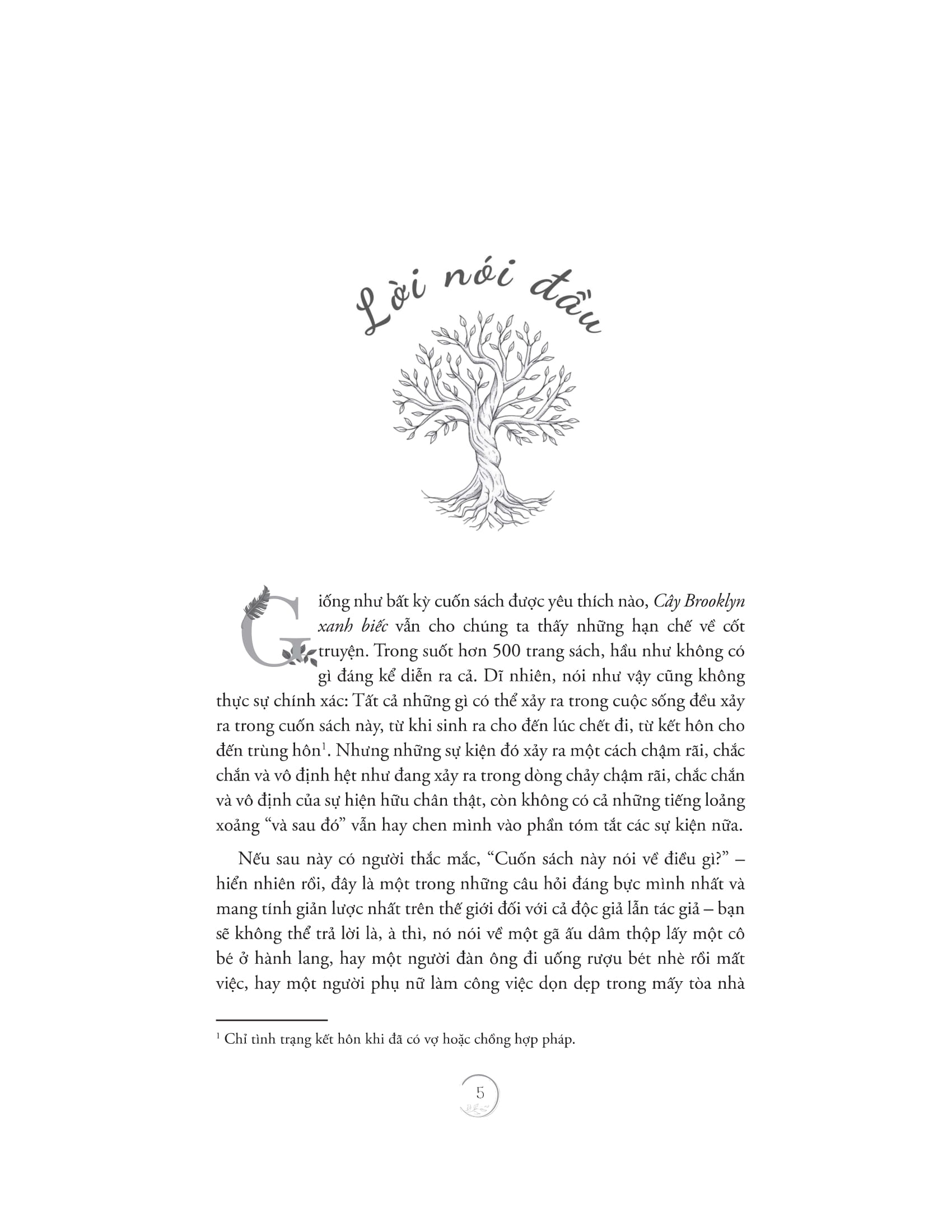 cây brooklyn xanh biếc