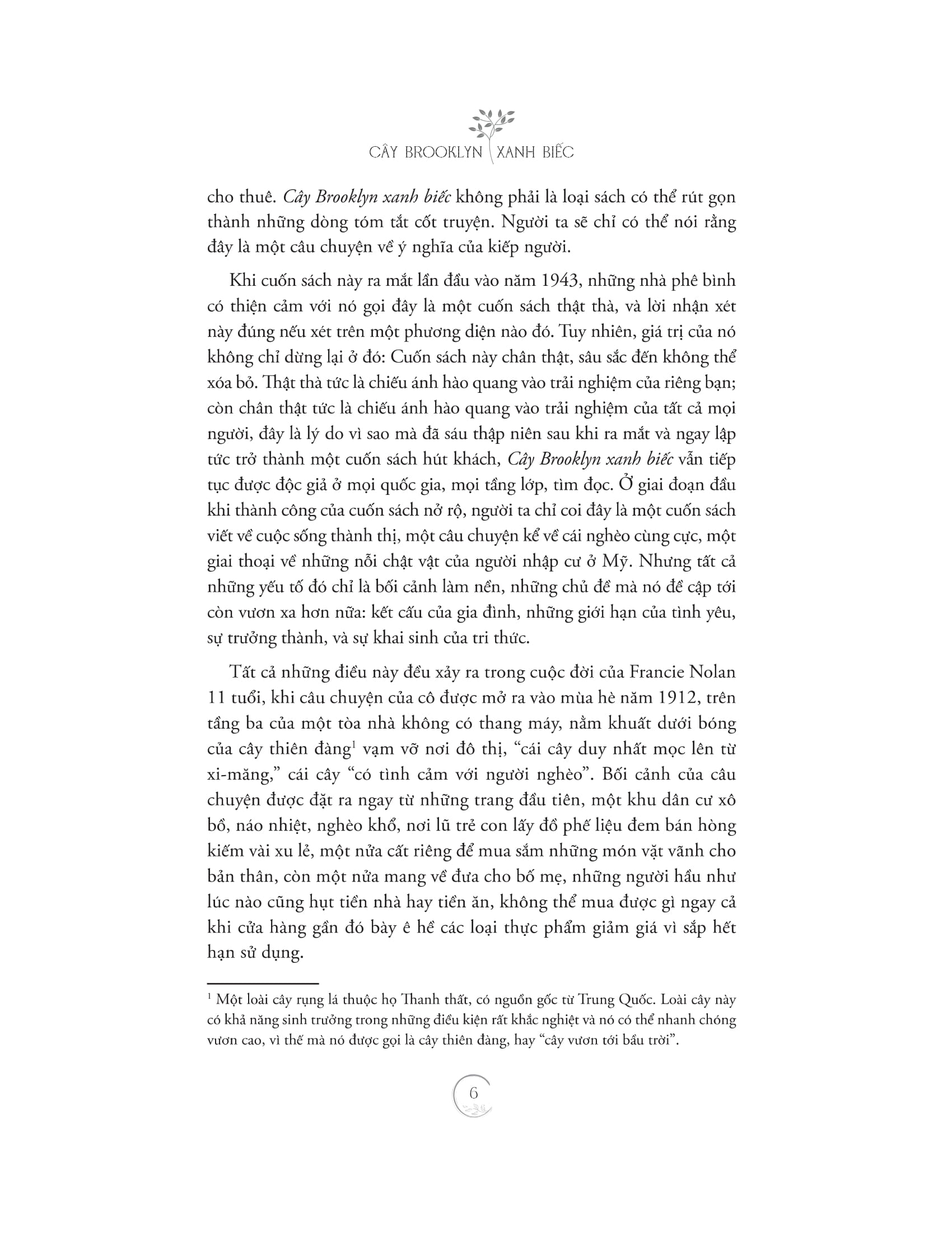 cây brooklyn xanh biếc