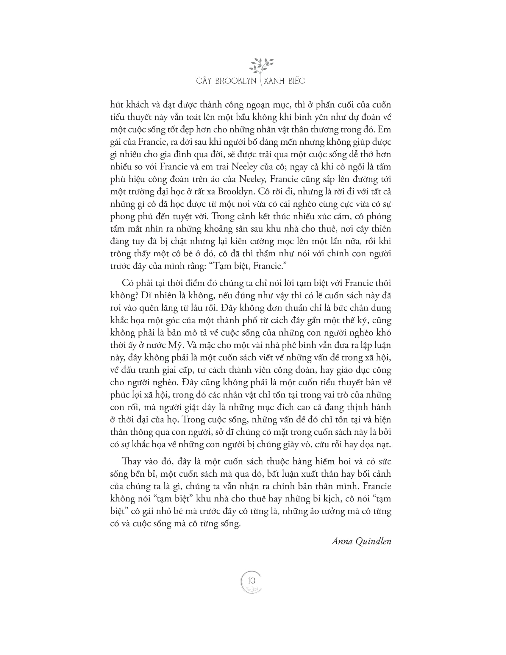 cây brooklyn xanh biếc