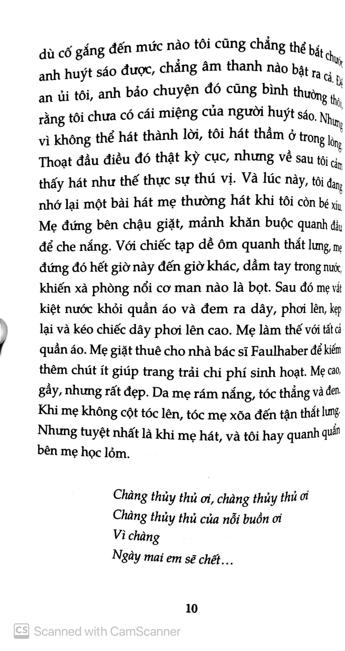 cây cam ngọt của tôi