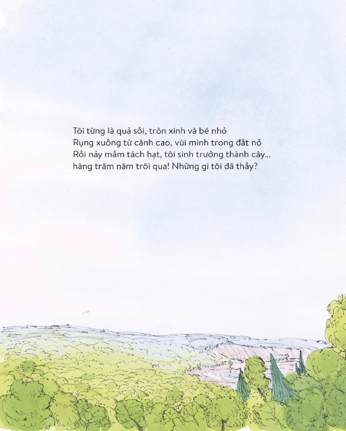 cây đã thấy những gì?