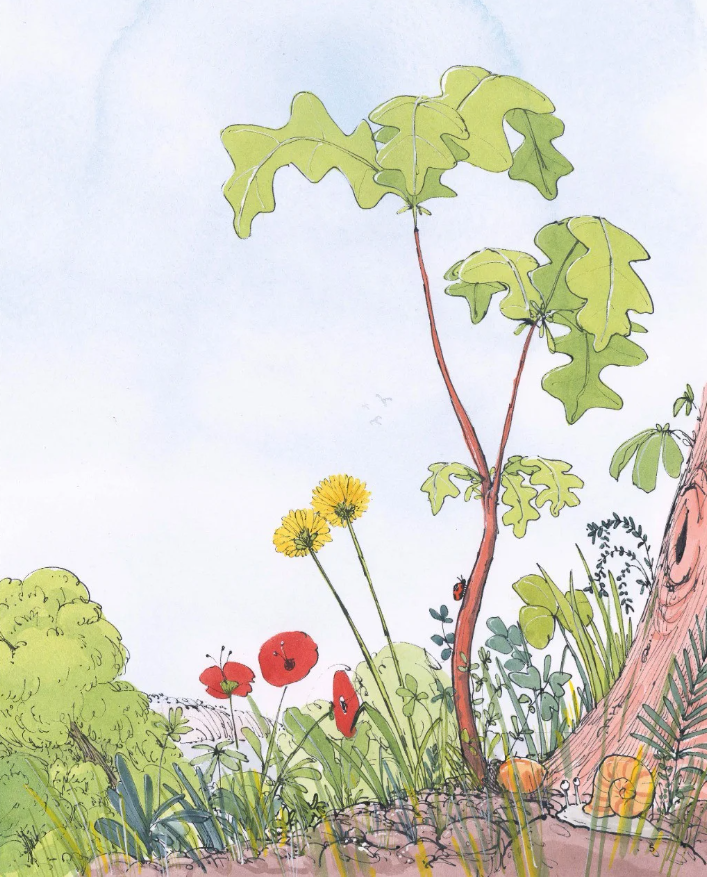 cây đã thấy những gì?