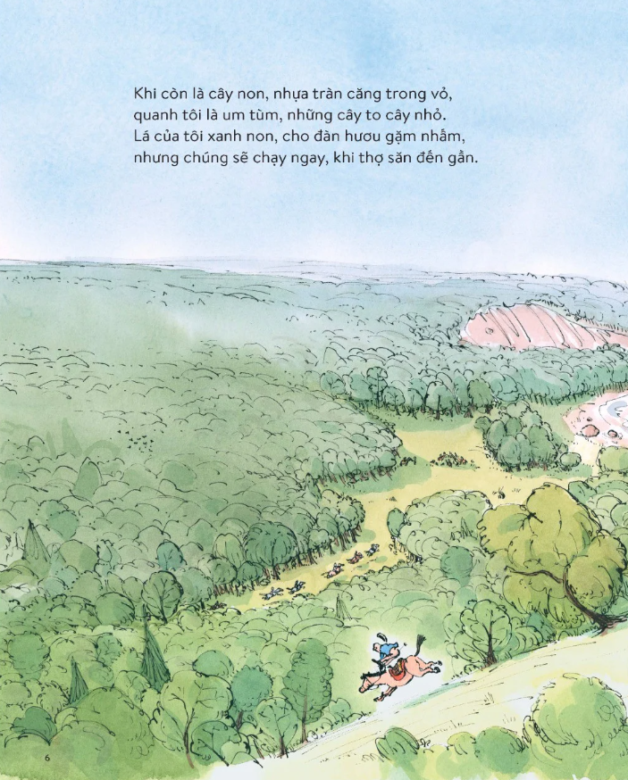 cây đã thấy những gì?