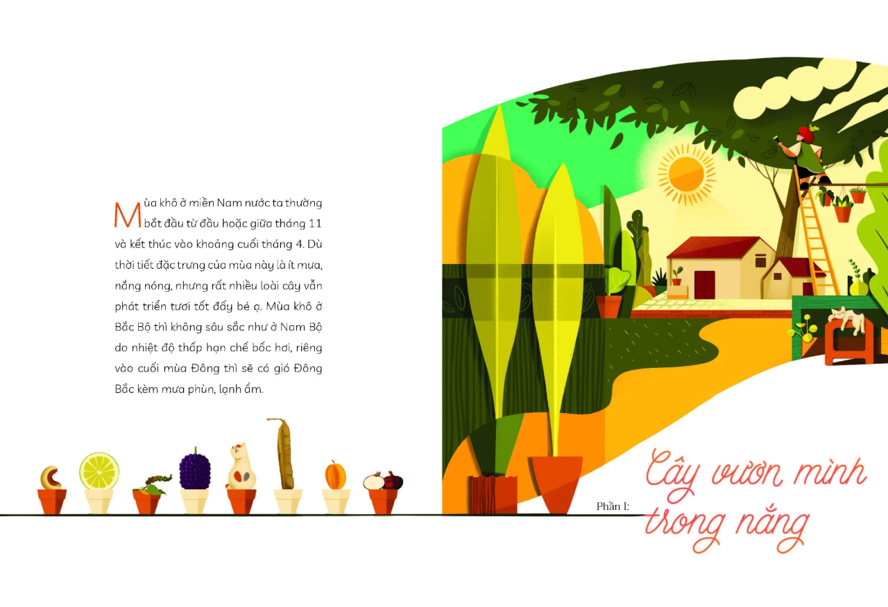 cây nhà lá vườn - khám phá thế giới cây trái việt nam đa dạng phong phú