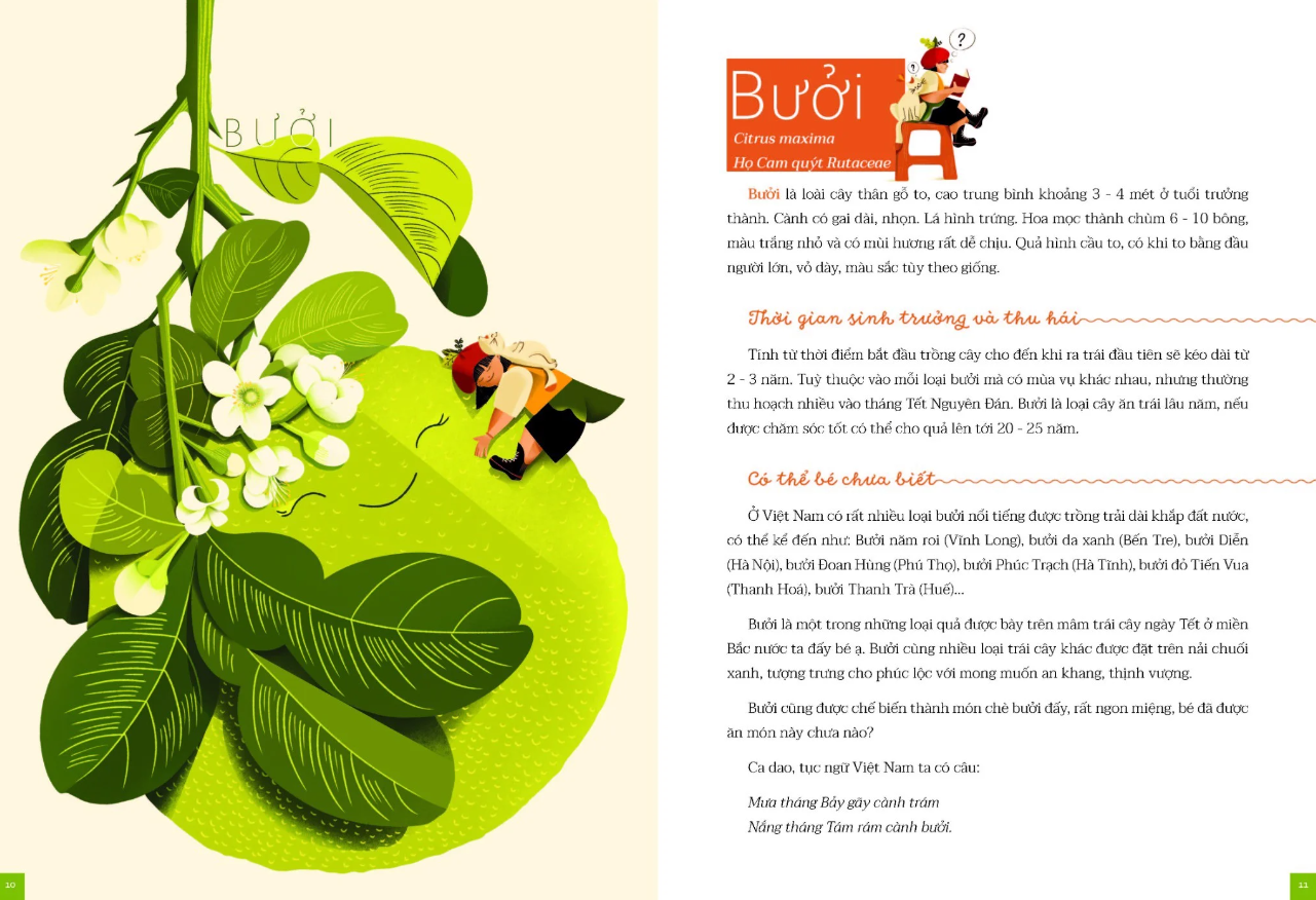 cây nhà lá vườn - khám phá thế giới cây trái việt nam đa dạng phong phú