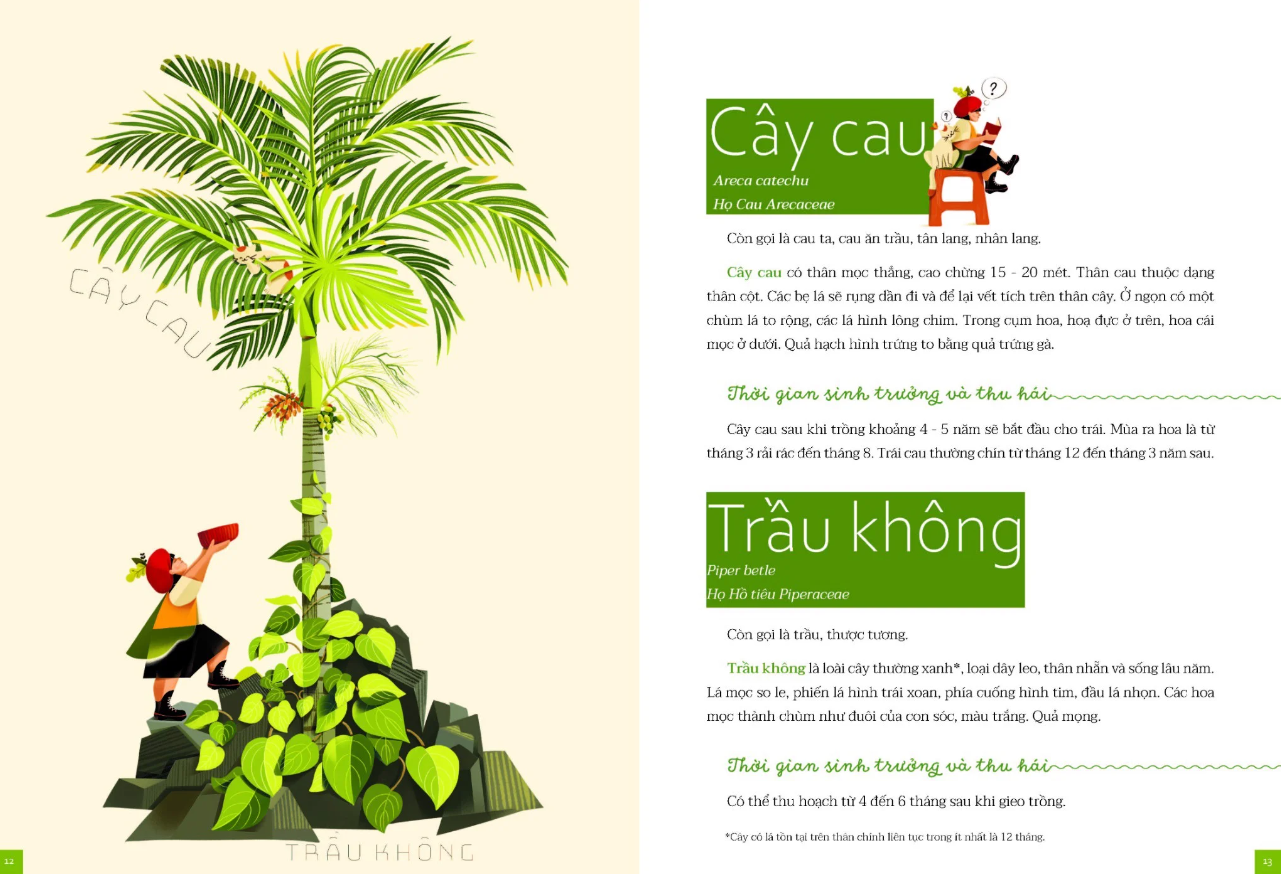 cây nhà lá vườn - khám phá thế giới cây trái việt nam đa dạng phong phú