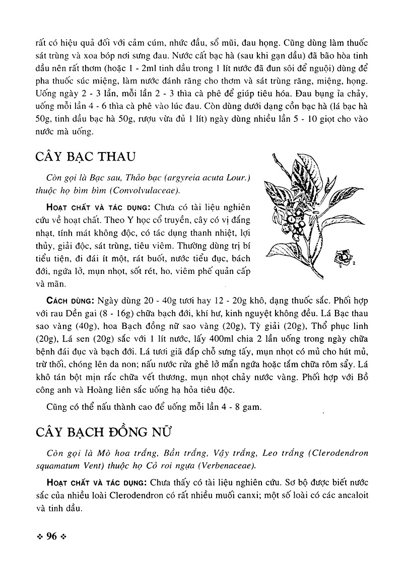 cây thuốc nam - những bài thuốc quý từ dân gian