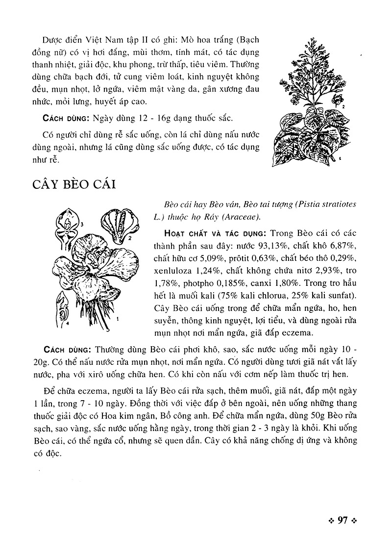 cây thuốc nam - những bài thuốc quý từ dân gian