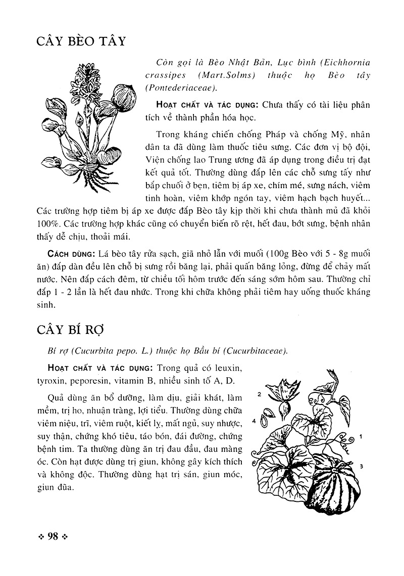 cây thuốc nam - những bài thuốc quý từ dân gian