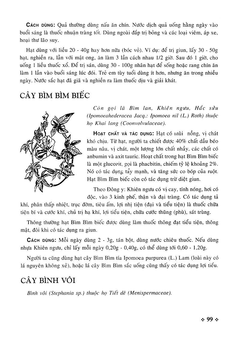 cây thuốc nam - những bài thuốc quý từ dân gian