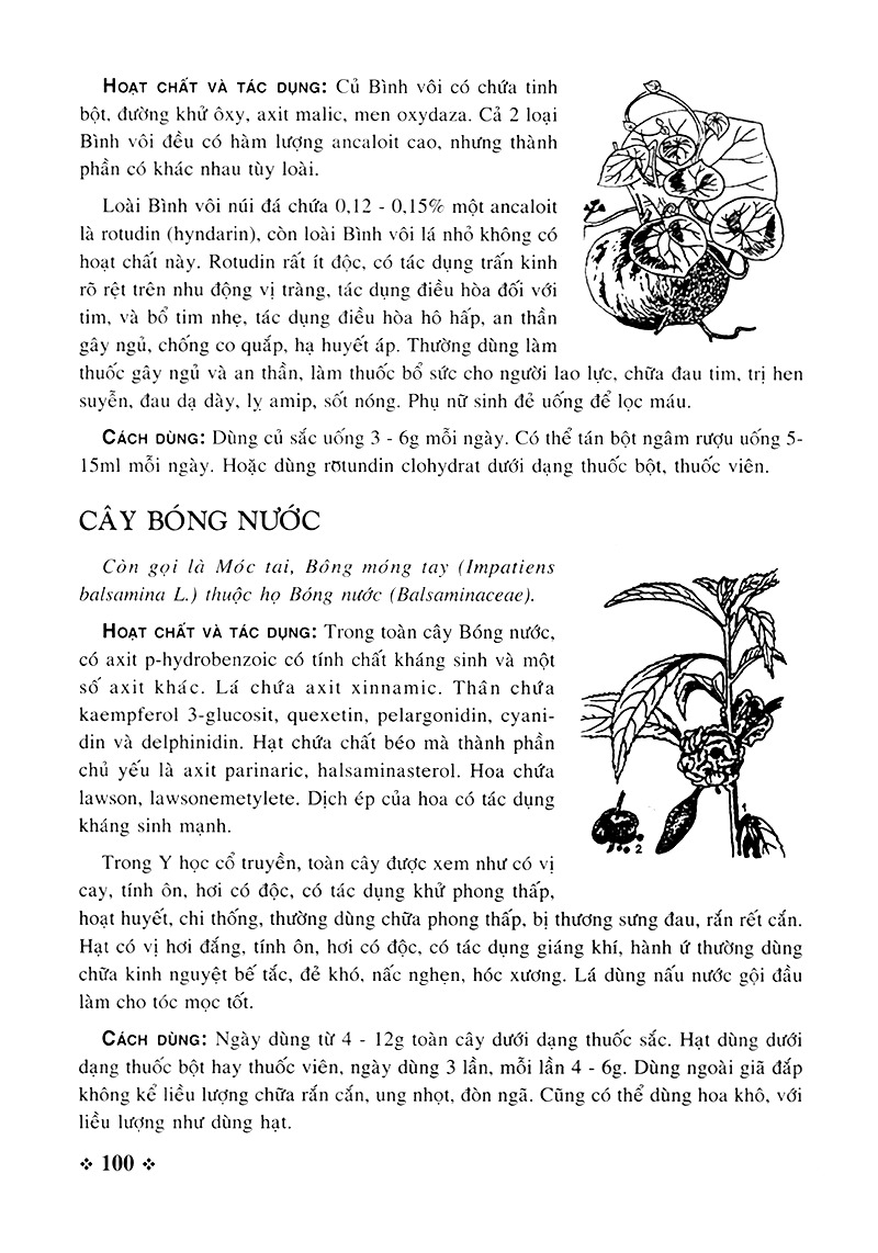 cây thuốc nam - những bài thuốc quý từ dân gian