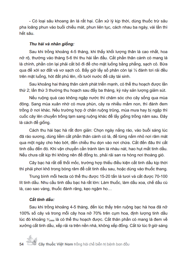 cây thuốc việt nam - trồng hái chế biến trị bệnh ban đầu (bìa cứng)