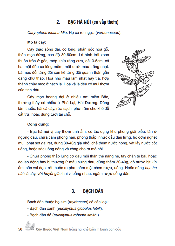 cây thuốc việt nam - trồng hái chế biến trị bệnh ban đầu (bìa cứng)