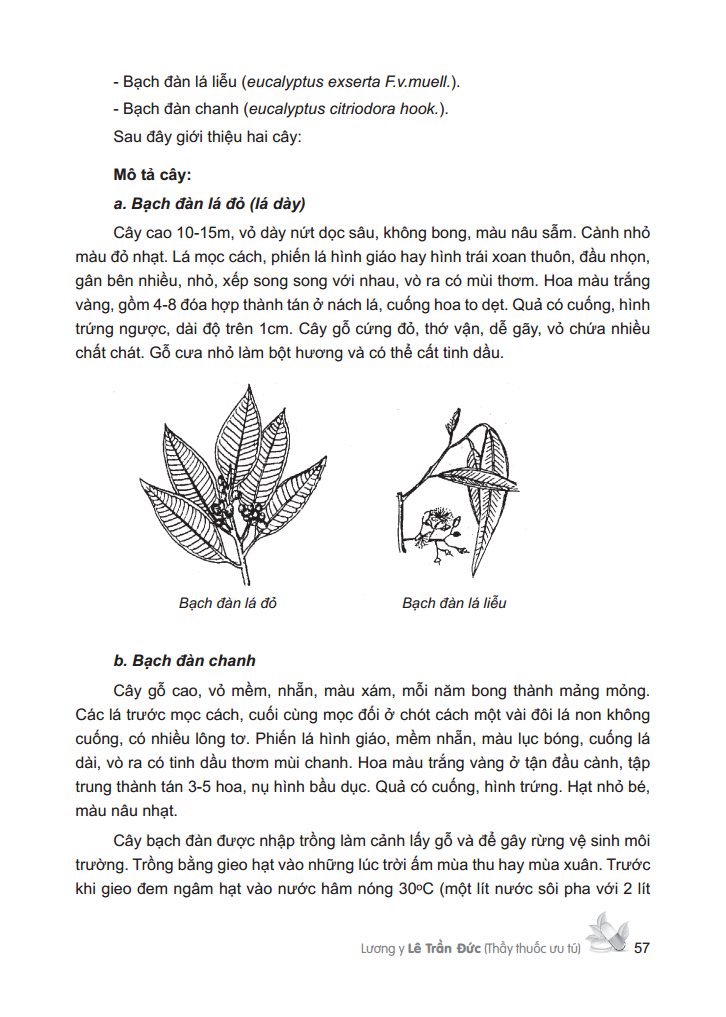 cây thuốc việt nam - trồng hái chế biến trị bệnh ban đầu (bìa cứng)
