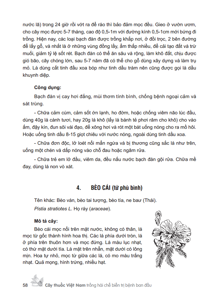 cây thuốc việt nam - trồng hái chế biến trị bệnh ban đầu (bìa cứng)