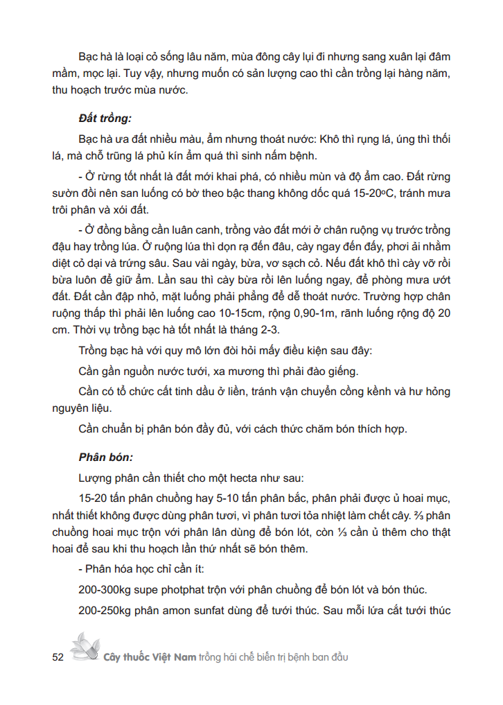 cây thuốc việt nam - trồng hái chế biến trị bệnh ban đầu (bìa cứng)