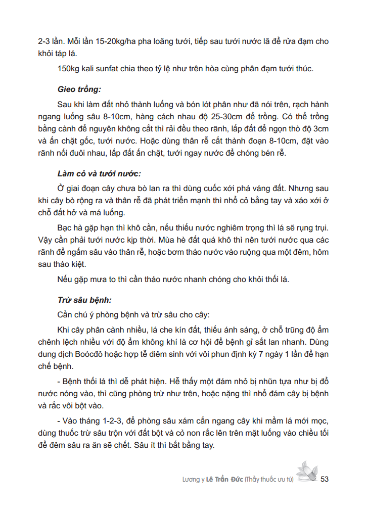 cây thuốc việt nam - trồng hái chế biến trị bệnh ban đầu (bìa cứng)