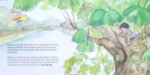 chăm sóc hành tinh của chúng mình - bảo vệ những cánh rừng