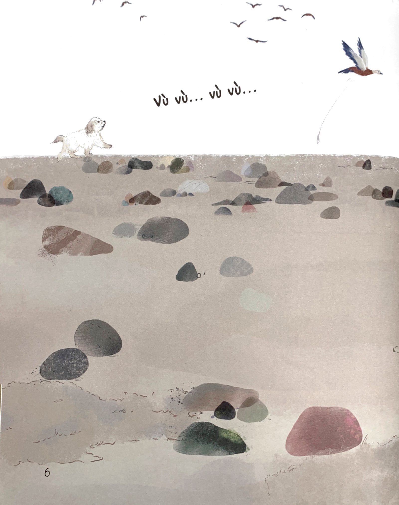 chạm tay vào khoa học - rừng có từ đâu?