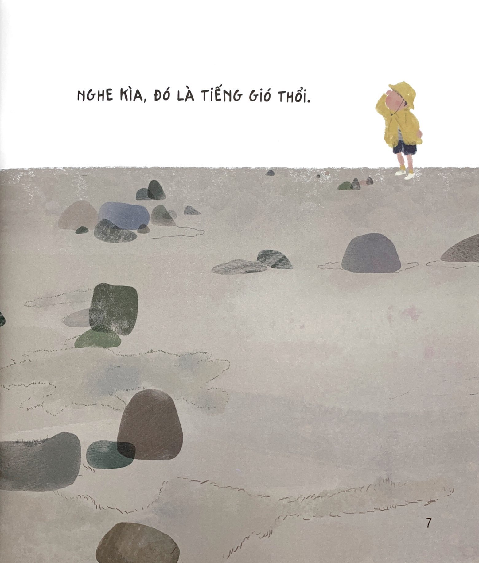 chạm tay vào khoa học - rừng có từ đâu?