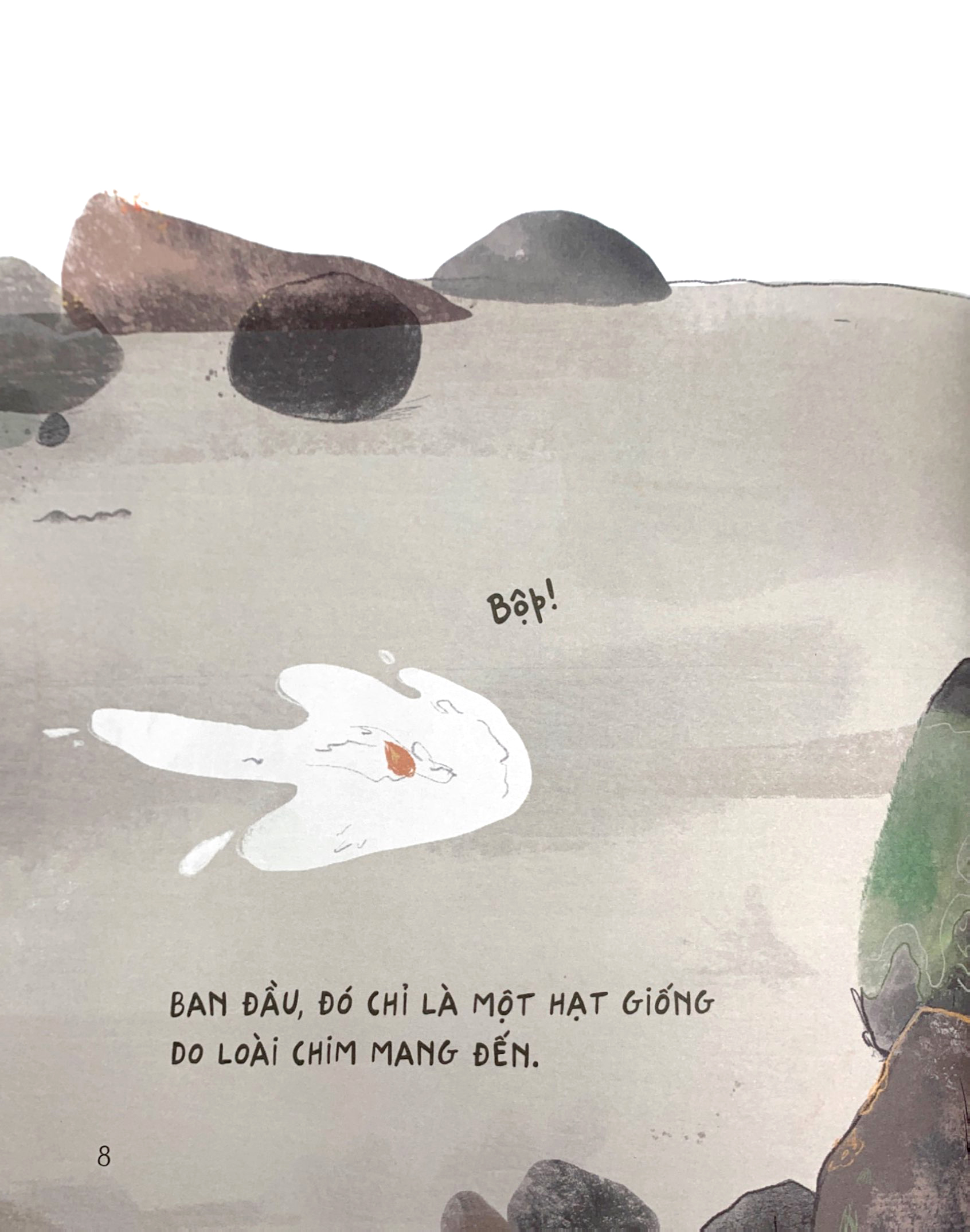 chạm tay vào khoa học - rừng có từ đâu?