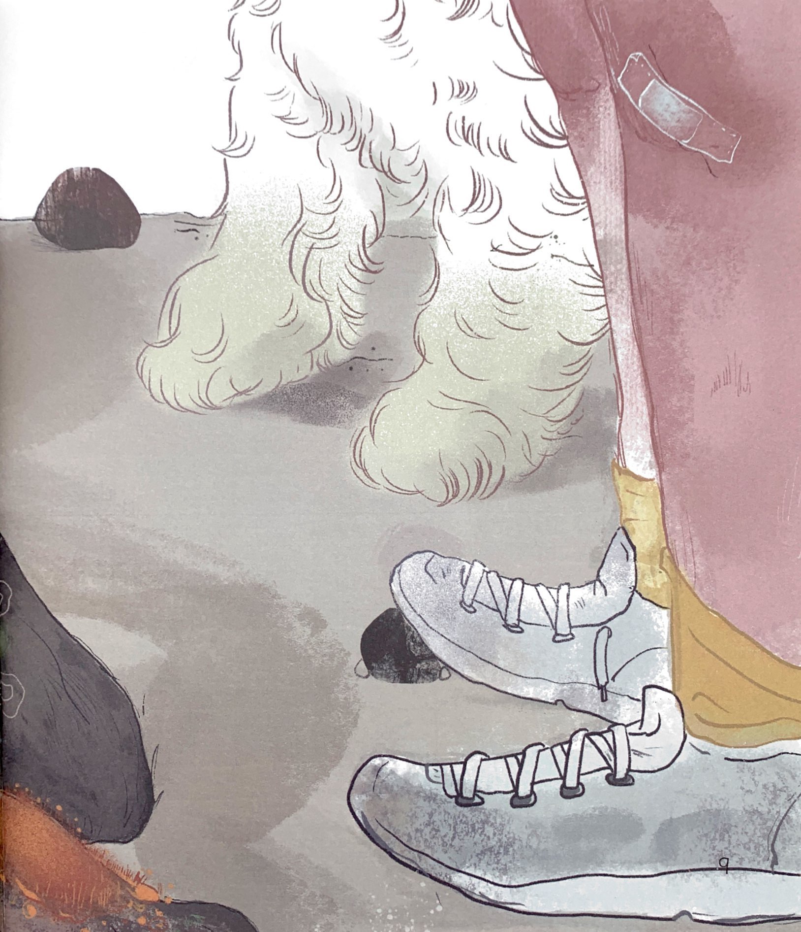 chạm tay vào khoa học - rừng có từ đâu?