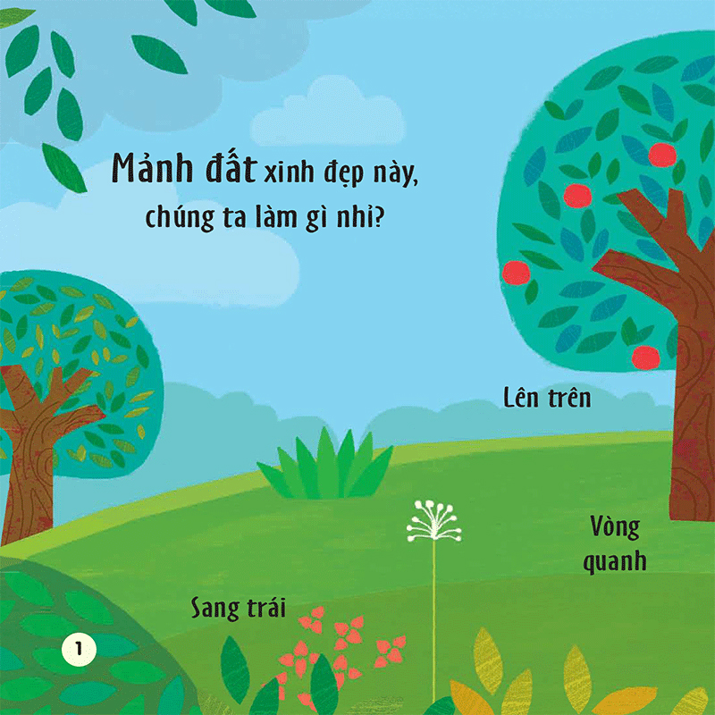 chạm và trượt - cây trồng lớn rồi kìa!