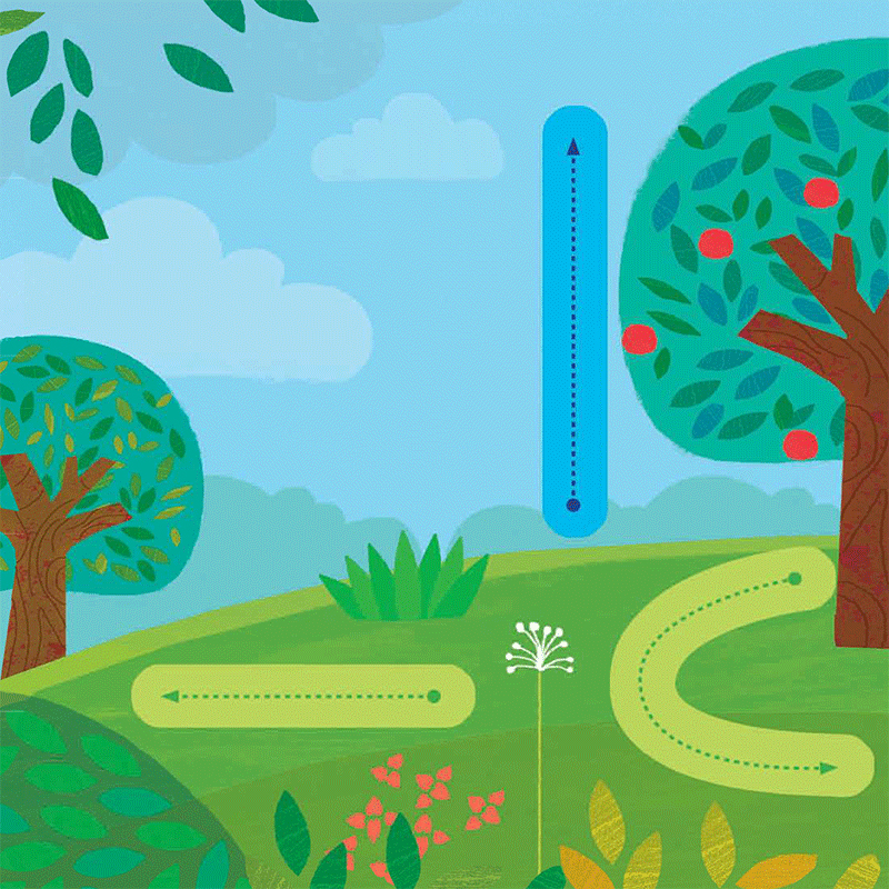 chạm và trượt - cây trồng lớn rồi kìa!