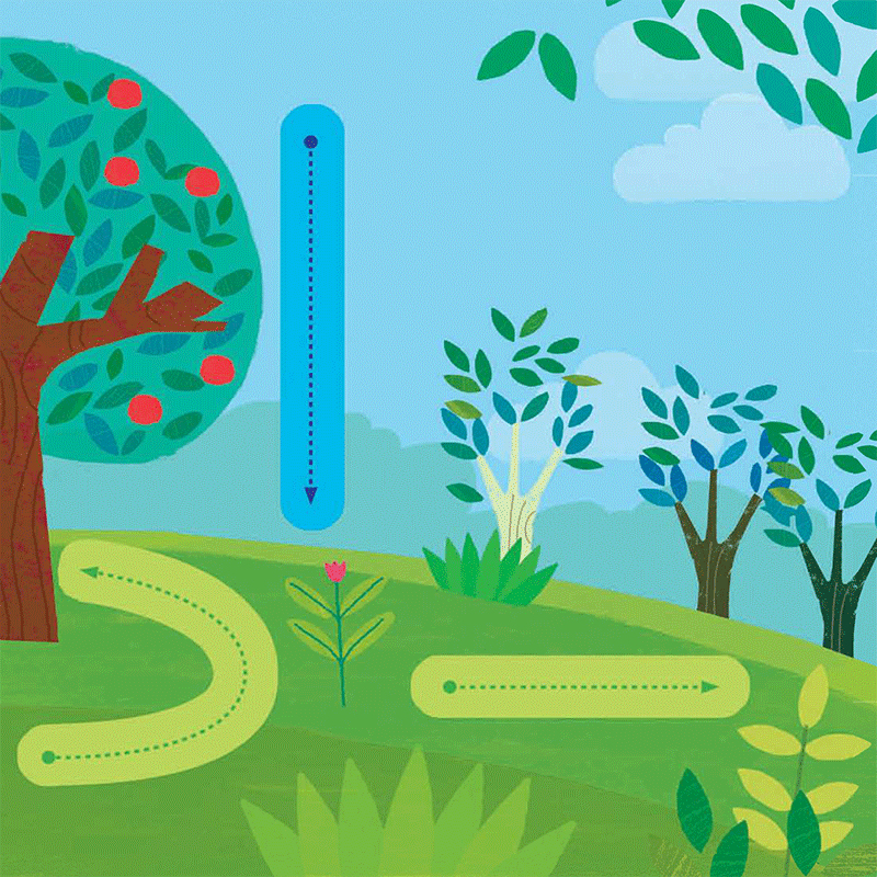 chạm và trượt - cây trồng lớn rồi kìa!