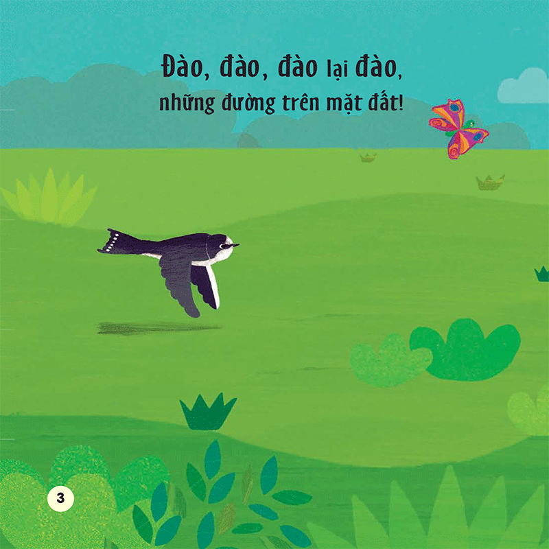 chạm và trượt - cây trồng lớn rồi kìa!