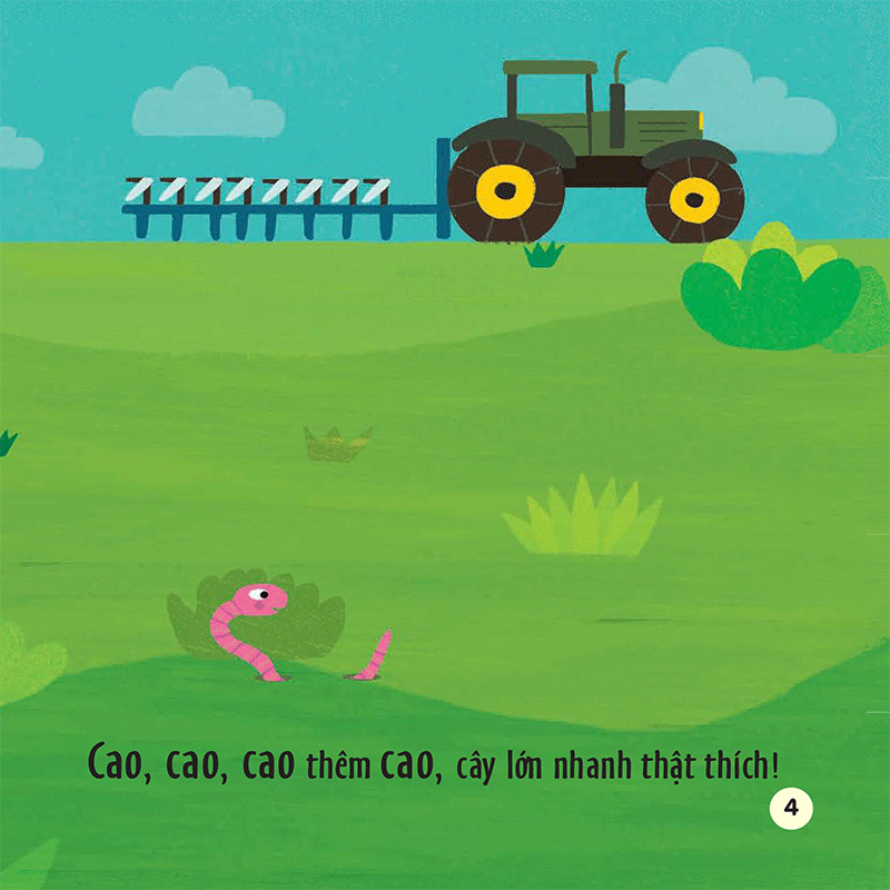 chạm và trượt - cây trồng lớn rồi kìa!