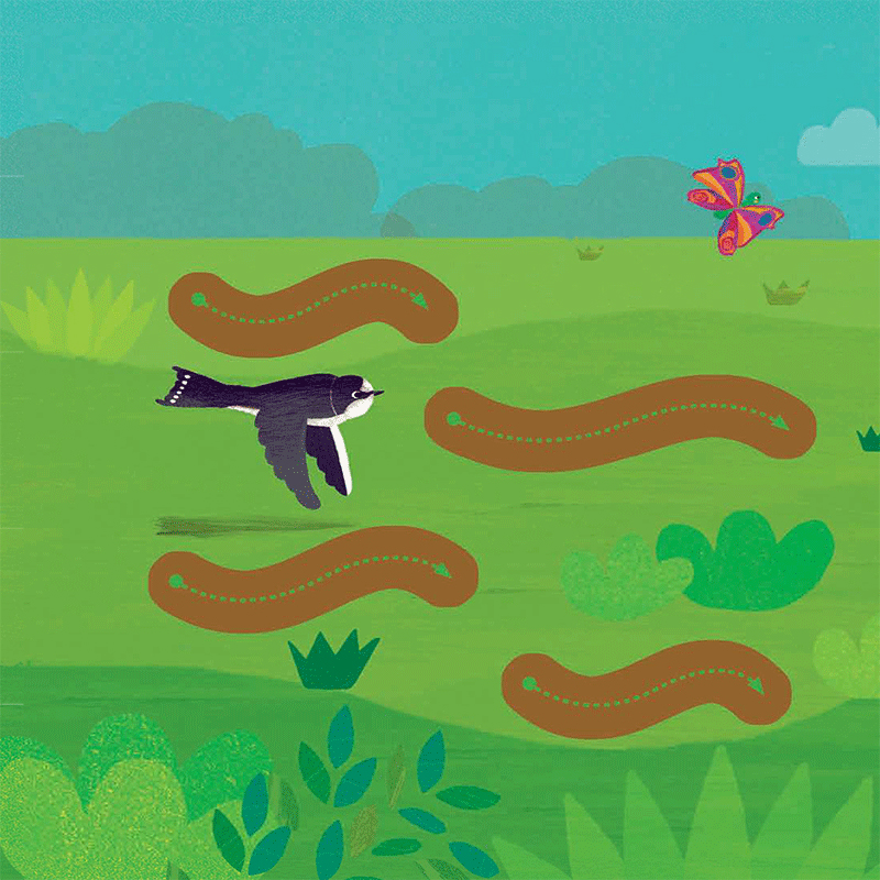 chạm và trượt - cây trồng lớn rồi kìa!