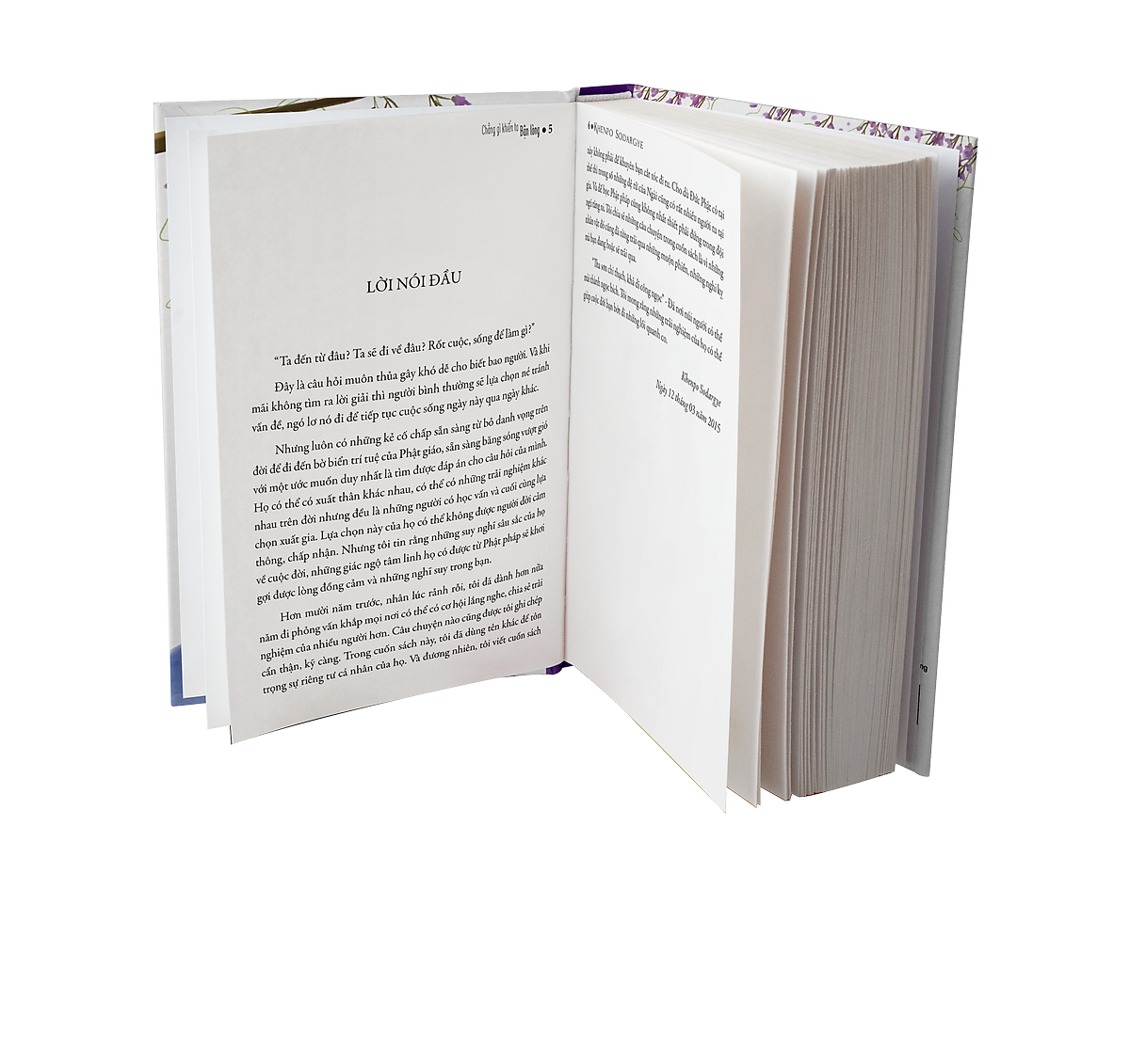 chẳng gì khiến ta bận lòng