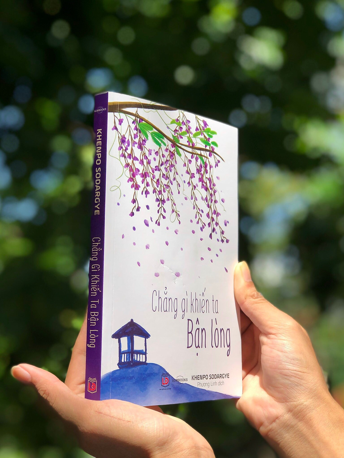 chẳng gì khiến ta bận lòng