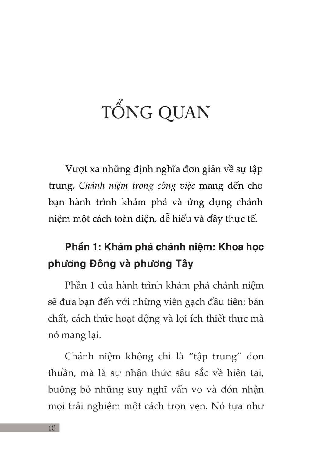 Chanh Niem Trong Cong Viec