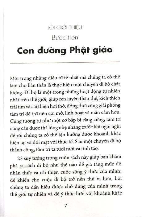 chánh niệm từng phút giây - bước chậm lại giữ hiện tại trong ta
