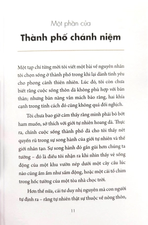 chánh niệm từng phút giây - sống thảnh thơi giữa đời đô thị