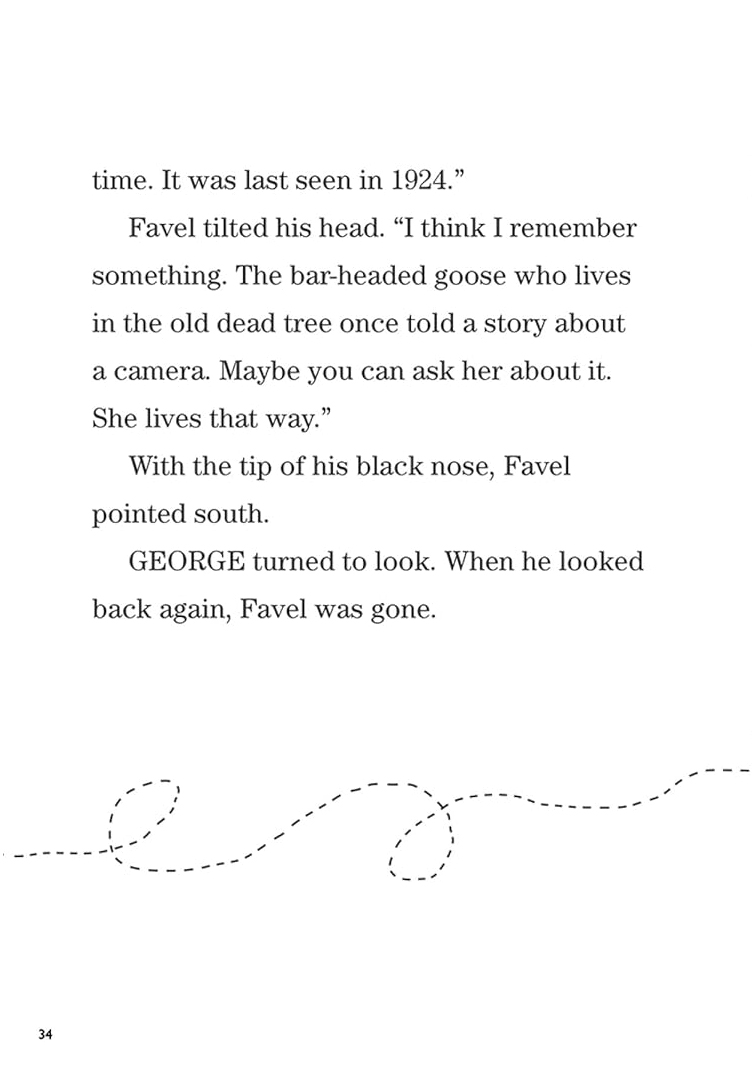 Chapter Book Sunbird George The Flybot And The Lost Camera On Mount Everest