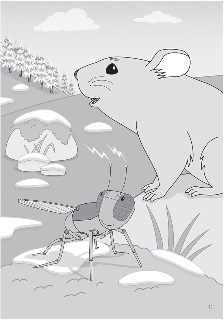 Chapter Book Sunbird George The Flybot And The Lost Camera On Mount Everest