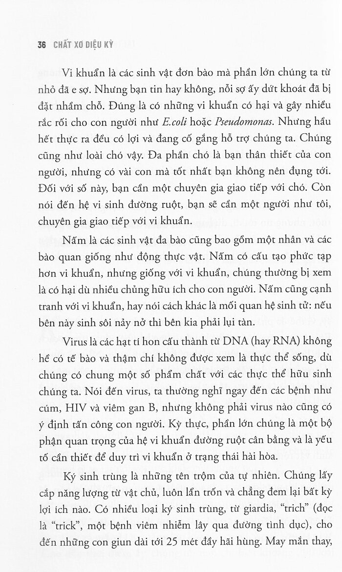 chất xơ diệu kỳ